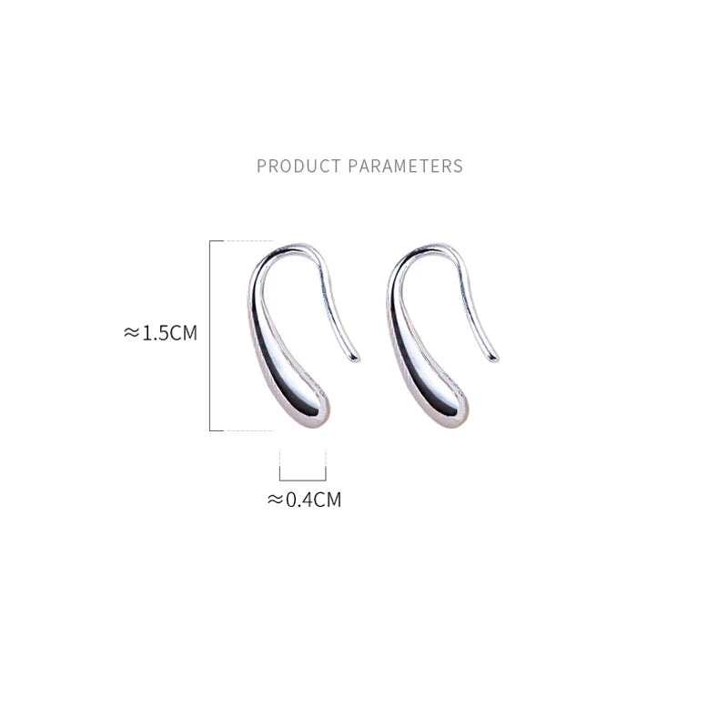 925 Sterling Silver Water Drop Shape Earrings